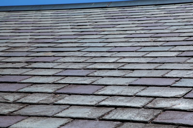 Cleaning and maintenance of slate roof